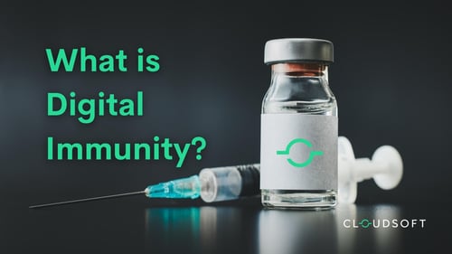 What is digital immunity?