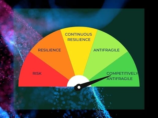 Resilience maturity scale