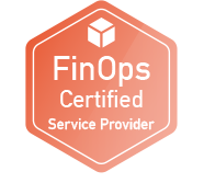 finops certified service provider