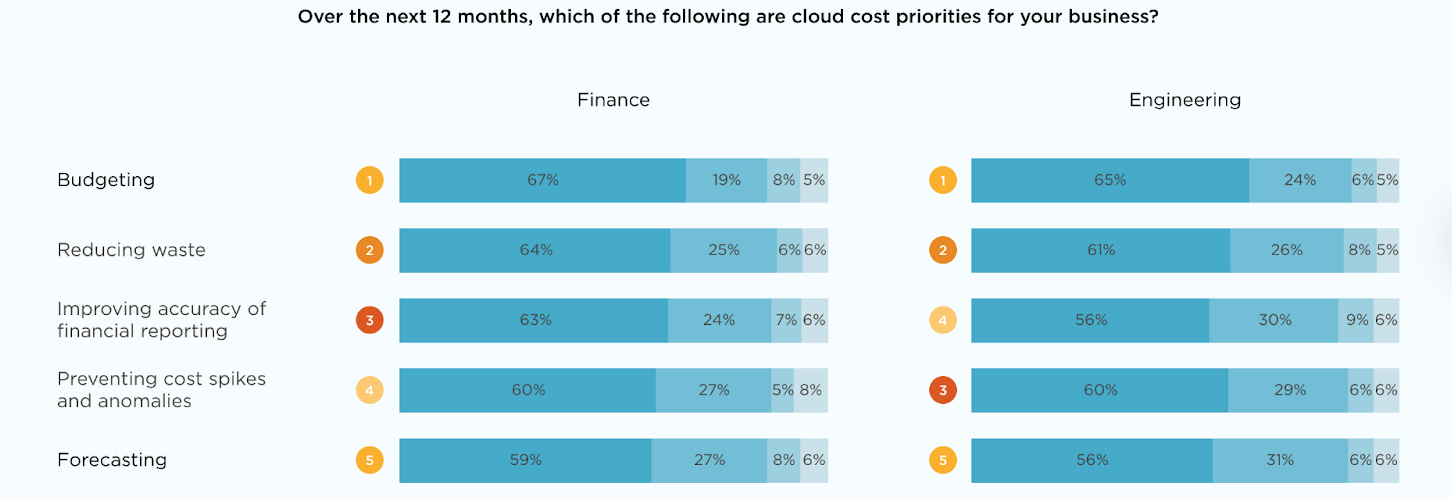 Over the next 12 months, what are your Cloud Cost priorities